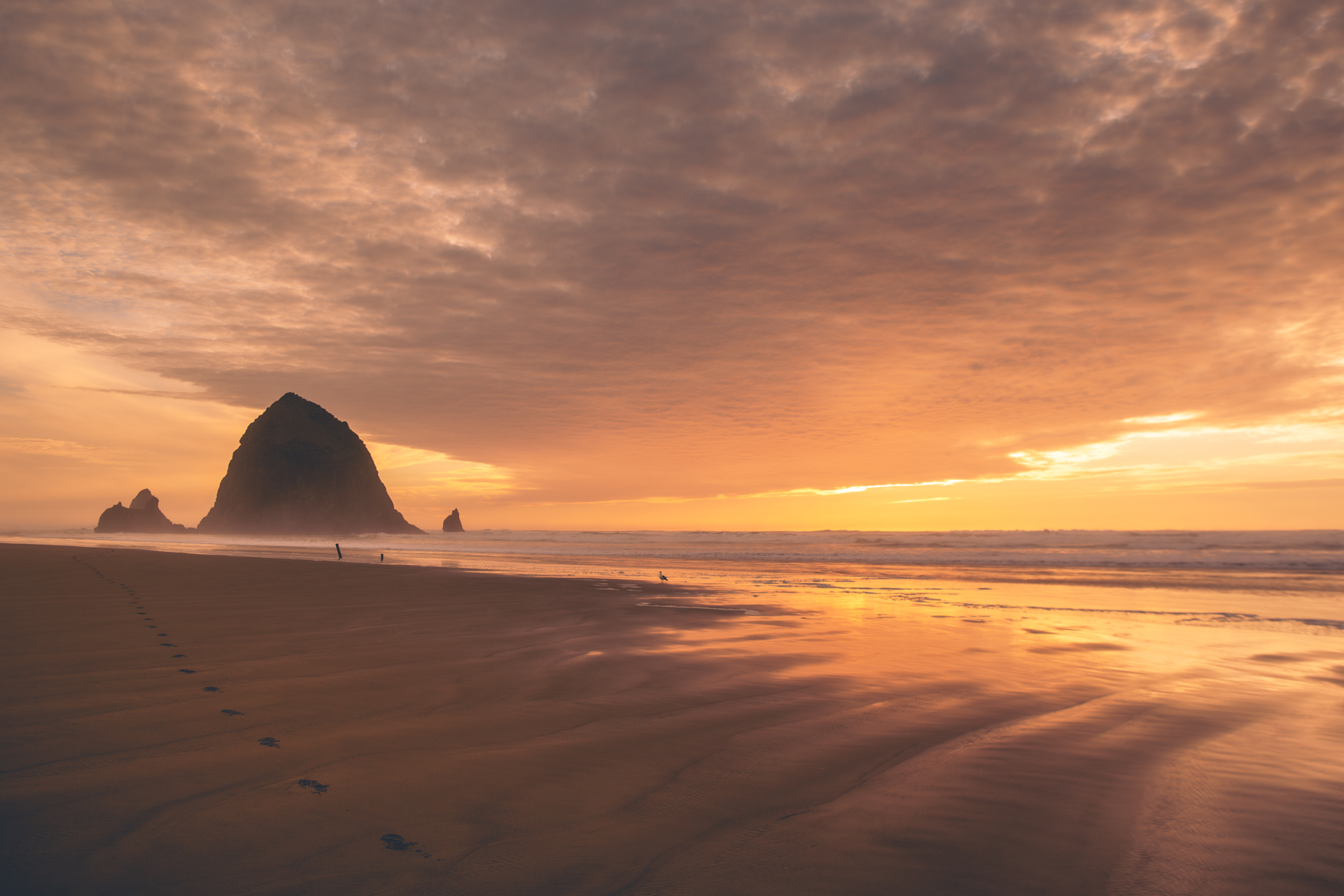 Haystack Rock at Cannon Beach in Oregon during a sunset