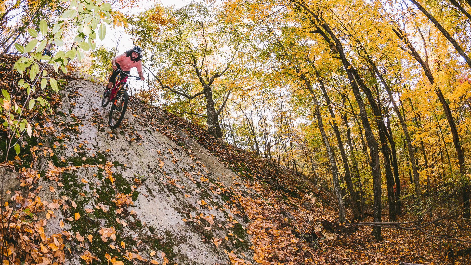 A mountain biker, Adam Jaber, descends a rock fact in a forest of fall colors.